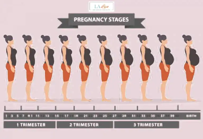 First Trimester (Weeks 1–12): Early Changes You Might Not Notice Sevenoaks